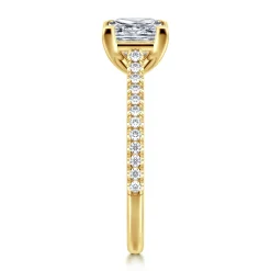 New Gabriel & Co. Abbie - 14K Yellow Gold Princess Cut Diamond Engagement Ring