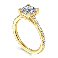 New Gabriel & Co. Abbie - 14K Yellow Gold Princess Cut Diamond Engagement Ring