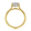 Hot Gabriel & Co. Aldon - 14K Yellow Gold Round Diamond Engagement Ring