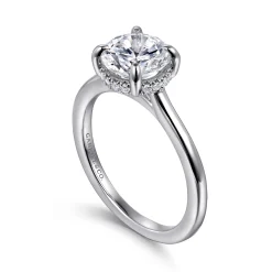 Online Gabriel & Co. Aldon - Platinum Round Diamond Engagement Ring