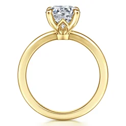 Discount Gabriel & Co. Ali - 14K Yellow Gold Round Diamond Engagement Ring