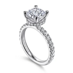 Best Gabriel & Co. Alina - 14K White Gold Hidden Halo Round Diamond Engagement Ring