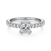 Online Gabriel & Co. Alina - Platinum Hidden Halo Diamond Engagement Ring