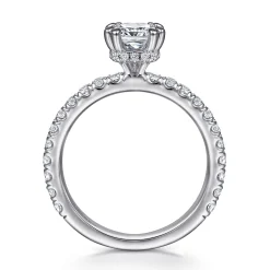 Online Gabriel & Co. Alina - Platinum Hidden Halo Diamond Engagement Ring