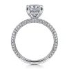 Best Gabriel & Co. Alinna - 14K White Gold Princess Cut Diamond Engagement Ring
