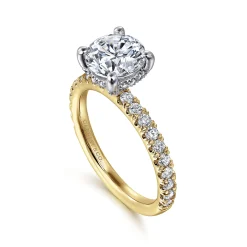 Best Gabriel & Co. Amira - 14K White-Yellow Gold Hidden Halo Round Diamond Engagement Ring