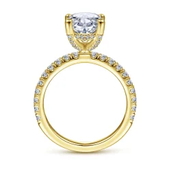 Best Gabriel & Co. Amira - 14K Yellow Gold Oval Diamond Engagement Ring