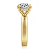 Clearance Gabriel & Co. Argentina - 14K Yellow Gold Round Diamond Engagement Ring