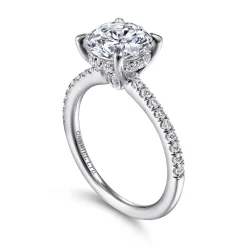 Online Gabriel & Co. Broderick - Platinum Round Diamond Engagement Ring