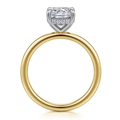Best Gabriel & Co. Cari - 14K White-Yellow Gold Cushion Diamond Engagement Ring