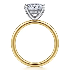 Best Gabriel & Co. Cari - 14K White-Yellow Gold Princess Cut Diamond Engagement Ring