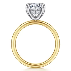 Clearance Gabriel & Co. Cari - 14K White-Yellow Gold Round Diamond Engagement Ring