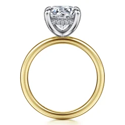 Discount Gabriel & Co. Cari - 14K White-Yellow Gold Round Diamond Engagement Ring