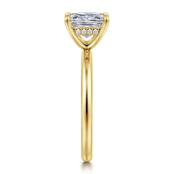 Online Gabriel & Co. Cari - 14K Yellow Gold Princess Diamond Engagement Ring