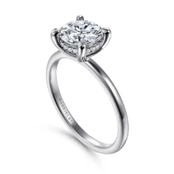 Best Gabriel & Co. Cari - Platinum Round Diamond Engagement Ring
