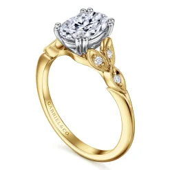 Best Gabriel & Co. Celia - 14K White-Yellow Gold Oval Diamond Engagement Ring