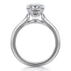 Best Gabriel & Co. Ellis - 14K White Gold Princess Cut Diamond Engagement Ring