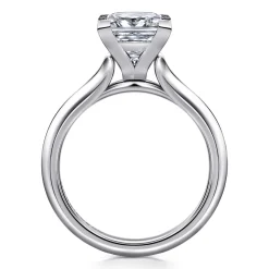 Best Gabriel & Co. Ellis - 14K White Gold Princess Cut Diamond Engagement Ring