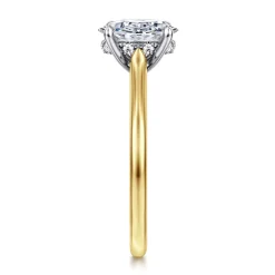 Best Gabriel & Co. Ericka - 14K White and Yellow Gold Oval Diamond Engagement Ring