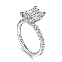 Best Gabriel & Co. Evelyn - 14K White Gold Emerald Cut Diamond Engagement Ring