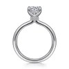 Best Gabriel & Co. Evelynn - Platinum Round Solitaire Diamond Engagement Ring