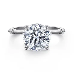 Best Gabriel & Co. Frances - 14K White Gold Round Diamond Engagement Ring