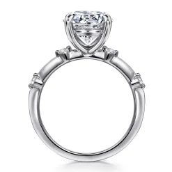 Best Gabriel & Co. Frances - 14K White Gold Round Diamond Engagement Ring