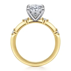 Best Gabriel & Co. Frances - 14K White-Yellow Gold Oval Diamond Engagement Ring