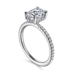 Best Gabriel & Co. Hart - 14K White Gold Hidden Halo Oval Diamond Engagement Ring