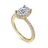 Best Gabriel & Co. Hart - 14K Yellow Gold Hidden Halo Oval Diamond Engagement Ring