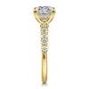 Best Gabriel & Co. Kim - 14K Yellow Gold Princess Cut Diamond Engagement Ring