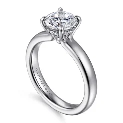 Best Gabriel & Co. Neema - Platinum Round Diamond Engagement Ring