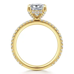 Outlet Gabriel & Co. Noa - 14K Yellow Gold Princess Cut Diamond Engagement Ring