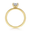 Clearance Gabriel & Co. Paula - 14K Yellow Gold Emerald Cut Diamond Engagement Ring