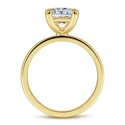 Best Gabriel & Co. Paula - 14K Yellow Gold Princess Cut Diamond Engagement Ring