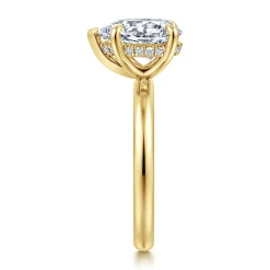 Best Gabriel & Co. Peace - 14K Yellow Gold Pear Shape Diamond Engagement Ring