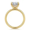 Online Gabriel & Co. Peace - 14K Yellow Gold Radiant Cut Diamond Engagement Ring