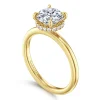 Best Gabriel & Co. Rainah - 14K Yellow Gold Round Diamond Engagement Ring