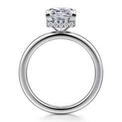 Discount Gabriel & Co. Rainah - Platinum Princess Diamond Engagement Ring