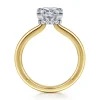 Gabriel & Co. Sandi - 14K White-Yellow Gold East West Princess Cut Diamond Engagement Ring
