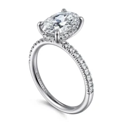 Best Gabriel & Co. Stasia - 14K White Gold Oval Cut Diamond Engagement Ring