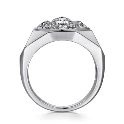 Best Gabriel & Co. 925 Sterling Silver Lion Head Ring in High Polished Finish