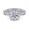 Best Gabriel & Co. Talisa - 14K White Gold Round Hidden Halo Diamond Engagement Ring