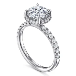 Best Gabriel & Co. Talisa - 14K White Gold Round Hidden Halo Diamond Engagement Ring
