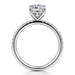 Best Gabriel & Co. Twain - 14K White Gold Cushion Cut Diamond Engagement Ring