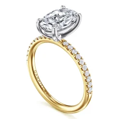 Online Gabriel & Co. Twain - 14K White-Yellow Gold Oval Diamond Engagement Ring