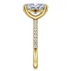Best Gabriel & Co. Twain - 14K Yellow Gold Oval Diamond Engagement Ring