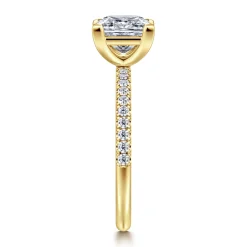 Gabriel & Co. Twain - 14K Yellow Gold Princess Cut Diamond Engagement Ring