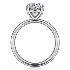 Best Gabriel & Co. Unite - Platinum Round Solitaire Engagement Ring