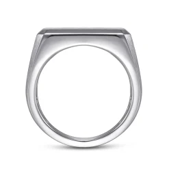 Online Gabriel & Co. Wide 14K White Gold North Star Ring in Satin Finish